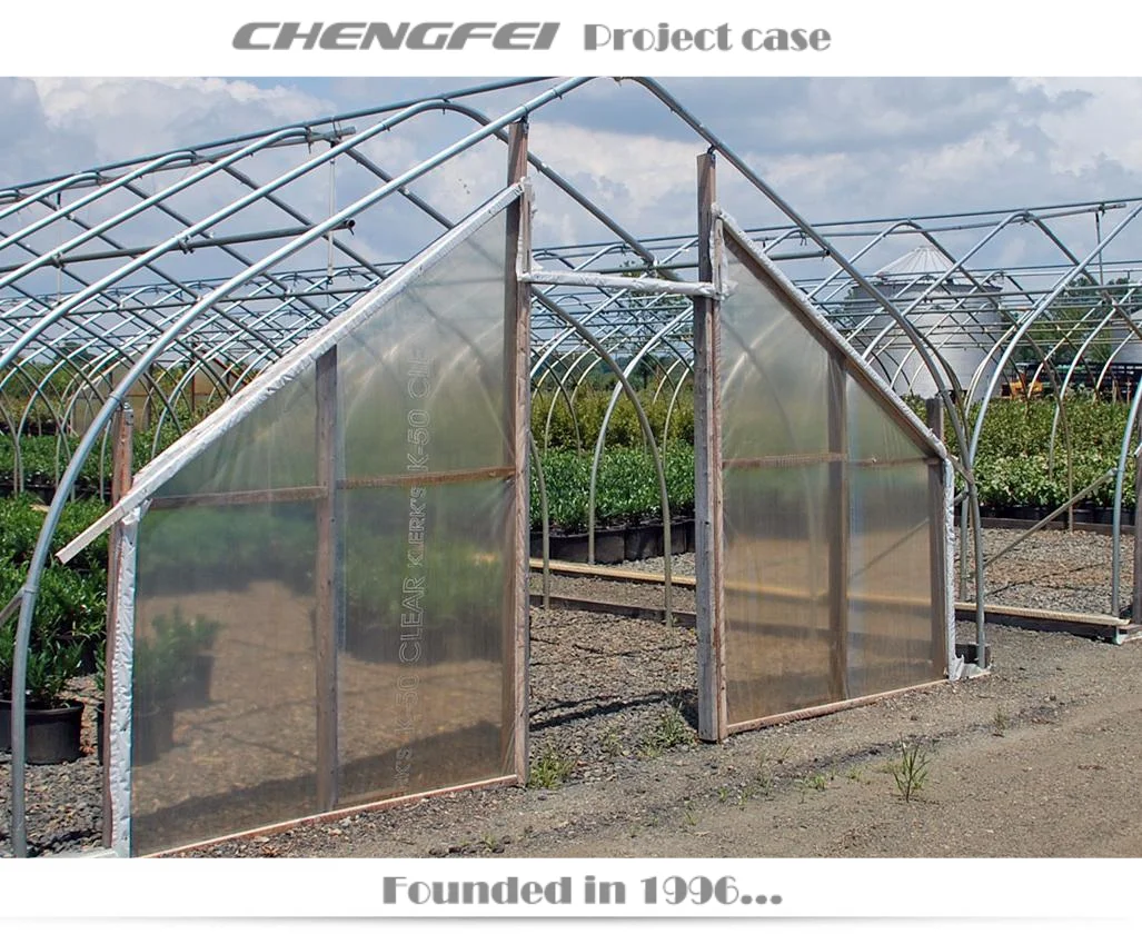 Factory price gothic cheap single-span plastic film tunnel commercial greenhouses tunnel for sale