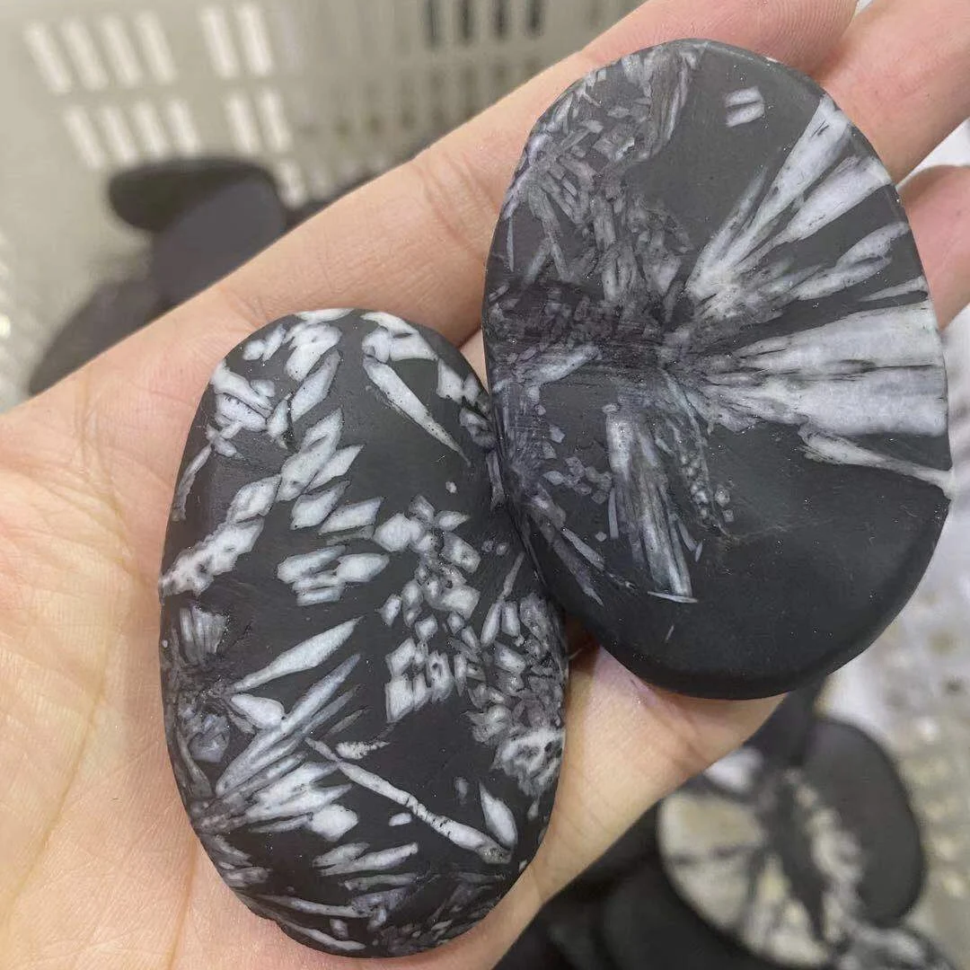 Wholesale Natural Raw Stone Specimen Mineral Rough Chrysanthemum Palm Stone For Decoration