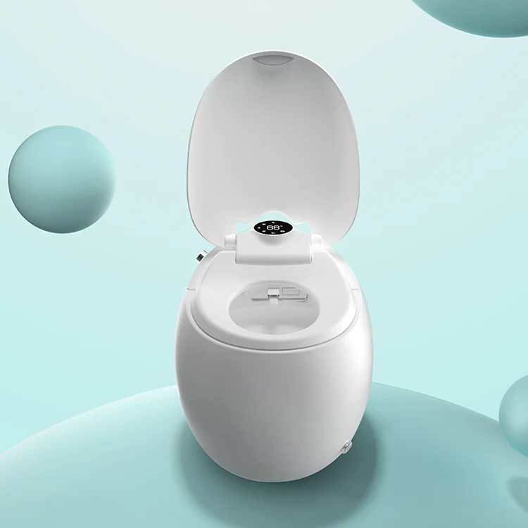 Unique Creative Wc Sanitary Female Cleaning Smart Water Closets Egg Shaped Automatic Ceramic