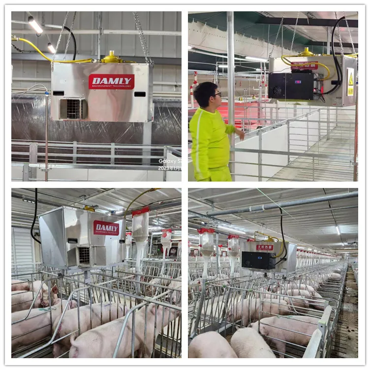 alibaba chicken heater .jpg