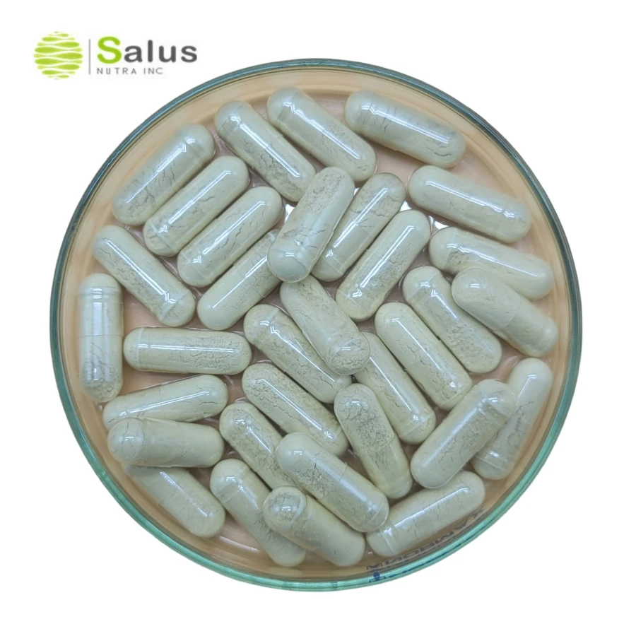 PhosphatidylSerine Capsules PhosphatidylSerine Supplements ISO22000 and HALAL Certified Products