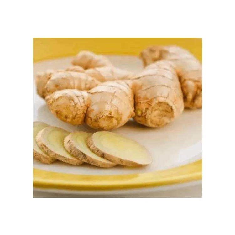 Comprehensive Nutrition selling market price per ton buy fresh young ginger