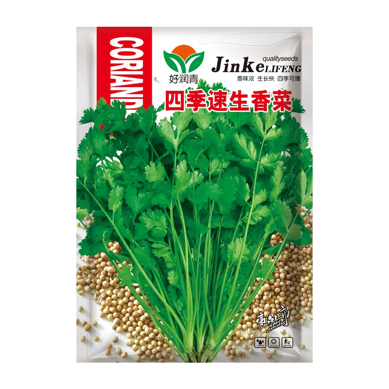 
High quality ingredient Coriander seeds Chinese parsley Vegetable seeds 