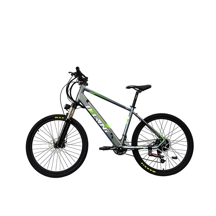 popular hot sale light weight fast speed e bike e bicycle folding electric bike 250w from china