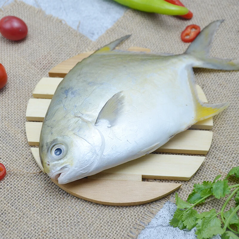 Frozen chinese white pomfret Golden pomfret using by fresh  live fish