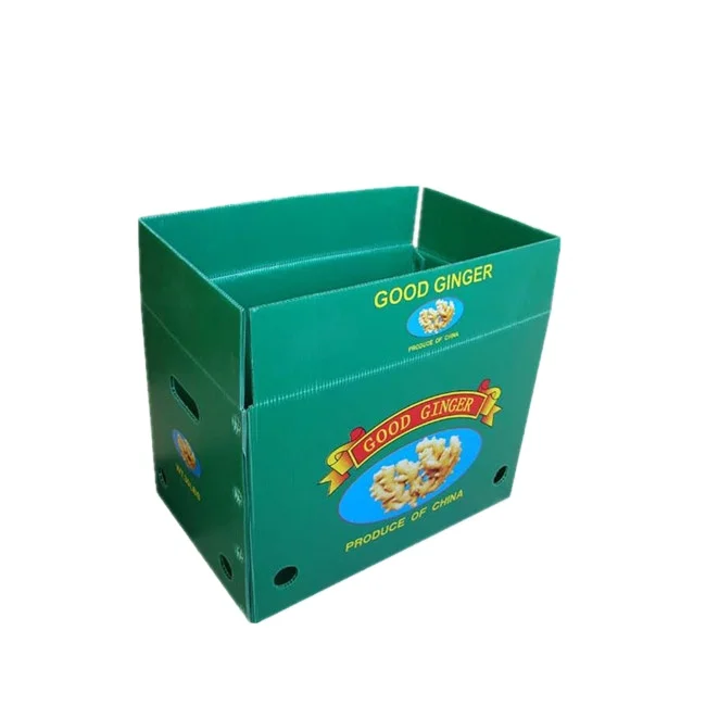Custom coroplast ginger box corrugated plastic fruit packaging box