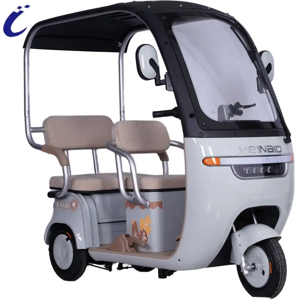 Luxury 3 Wheels Electric Tricycles Waterproof  Handle Electric Tricycle for Adult with roof