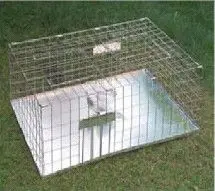 Foldable Multi Bird Catch Pigeon Trap Cage