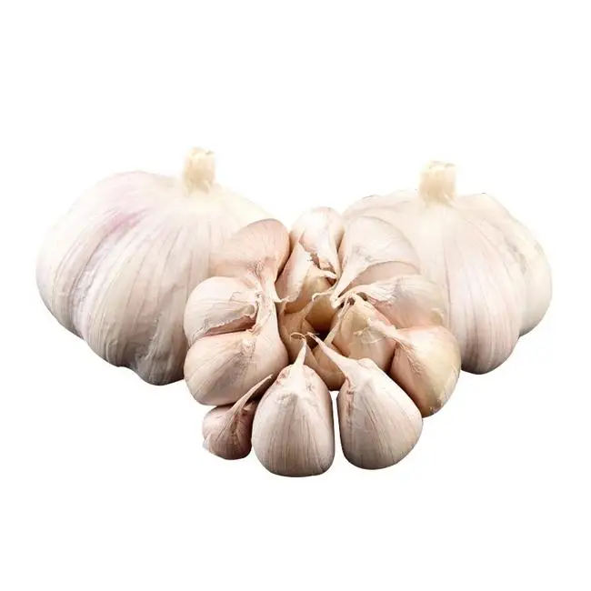 
Garlic Wholesale Low Price In China Fresh Normal White Garlic Garlic 