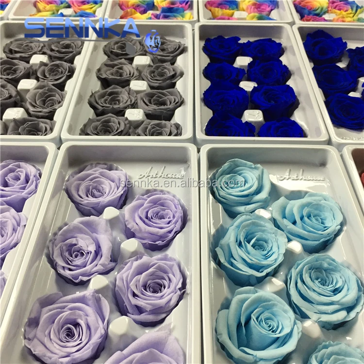 Christmas Smell Fresh Black Rose Real Preserved Flower for Sale