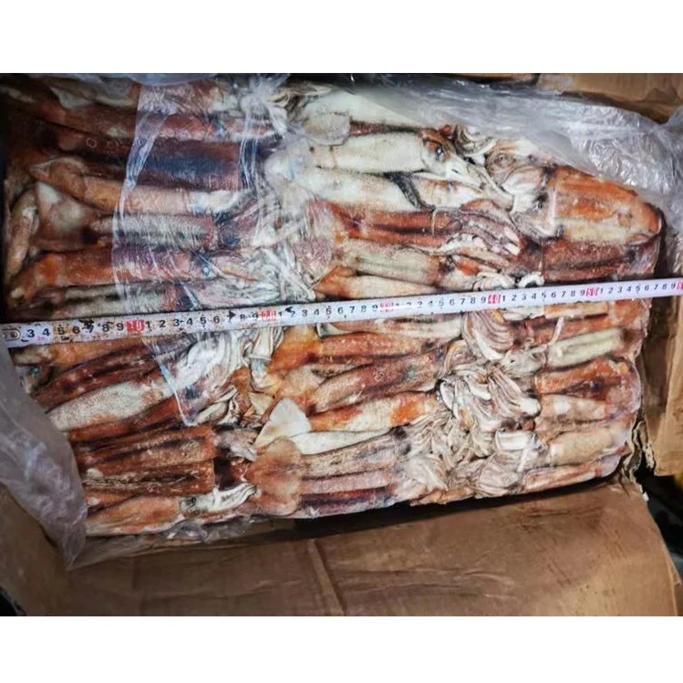 SANFENG SEAFOOD Best Price Whole Round Frozen Africa Squid