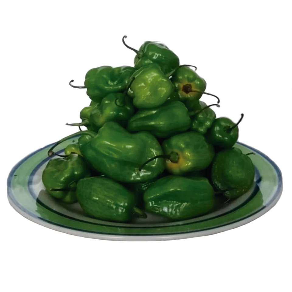 High Quality Fresh Pepper Chilli Green Habanero