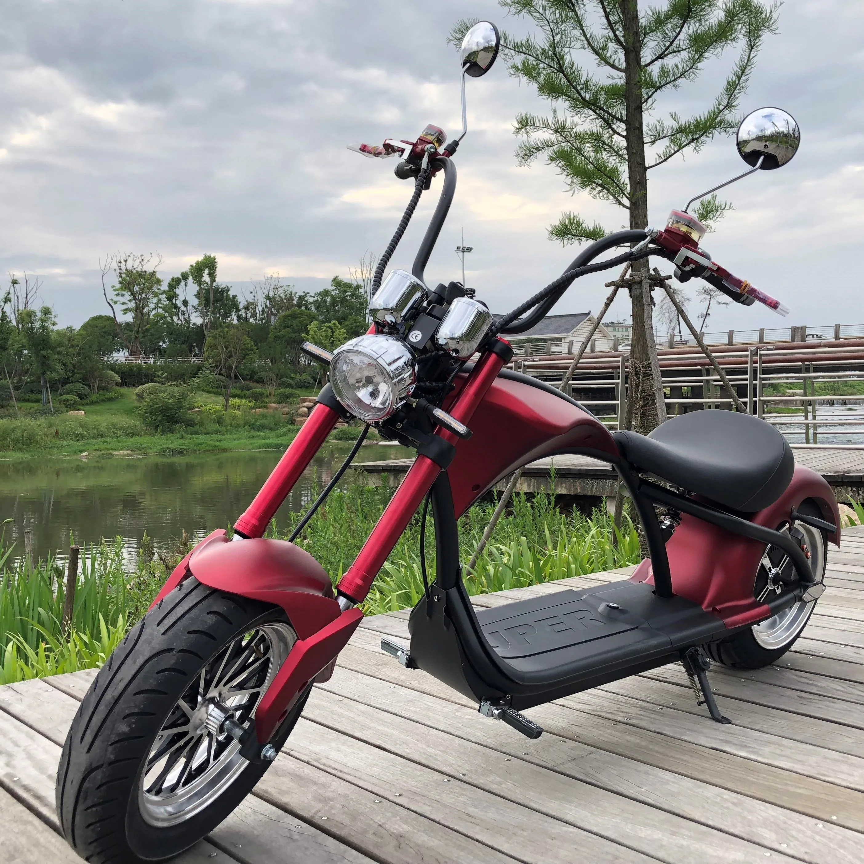 1000W 60V 3 Wheel Disability Electric Mobility Scooter Adult Tricycle Motorcycle