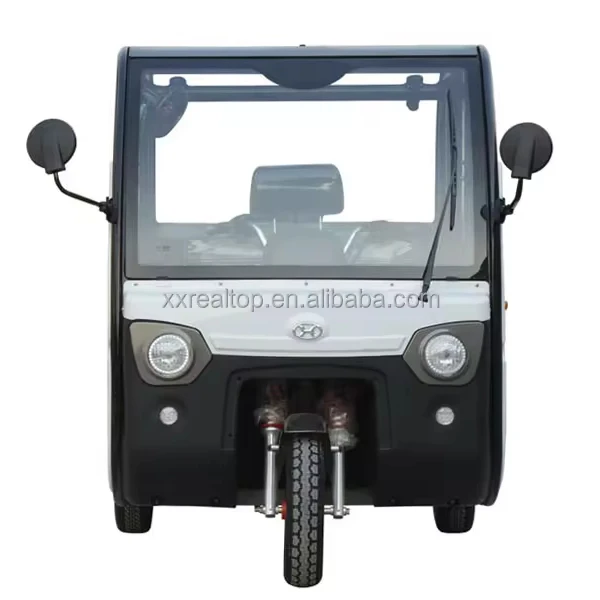 Good quality and Low Price Three wheel electric cargo Tricycle Enclosed Tricycle for Adults