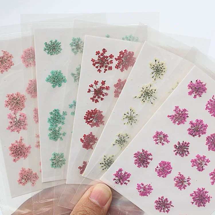 M048 High Quality Dry Plants Real Natural Minoan Lace Dried Flowers Pressed For Epoxy UV Resin Pendant Necklace Jewelry DIY Nail