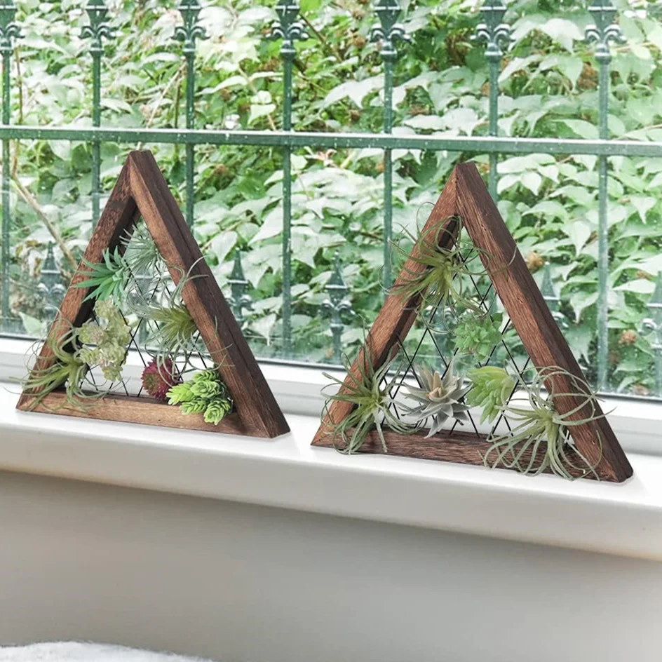 Triangle Rustic Wooden Air Plant Frame With Wire Web for Tillandsia, Succulent, Ornamental Display Stand