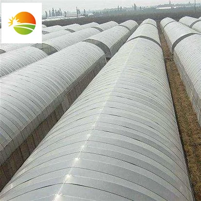 High quality cheap price greenhouse farm for tomato growing .