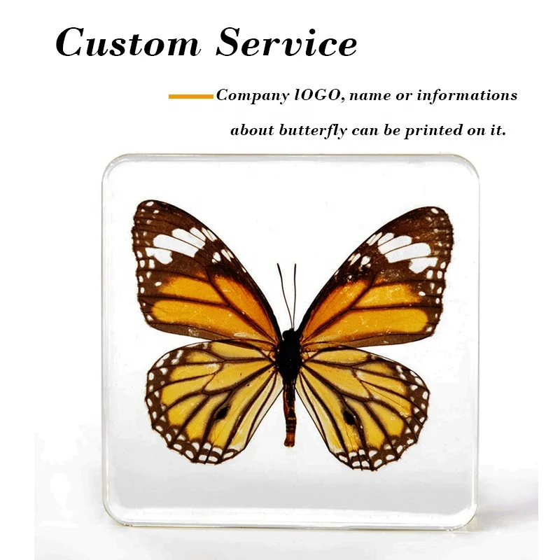 taxidermy butterfly resin cube real insects bug 75*75 mm factory customized clear epoxy acrylic blocks resin crafts ornaments