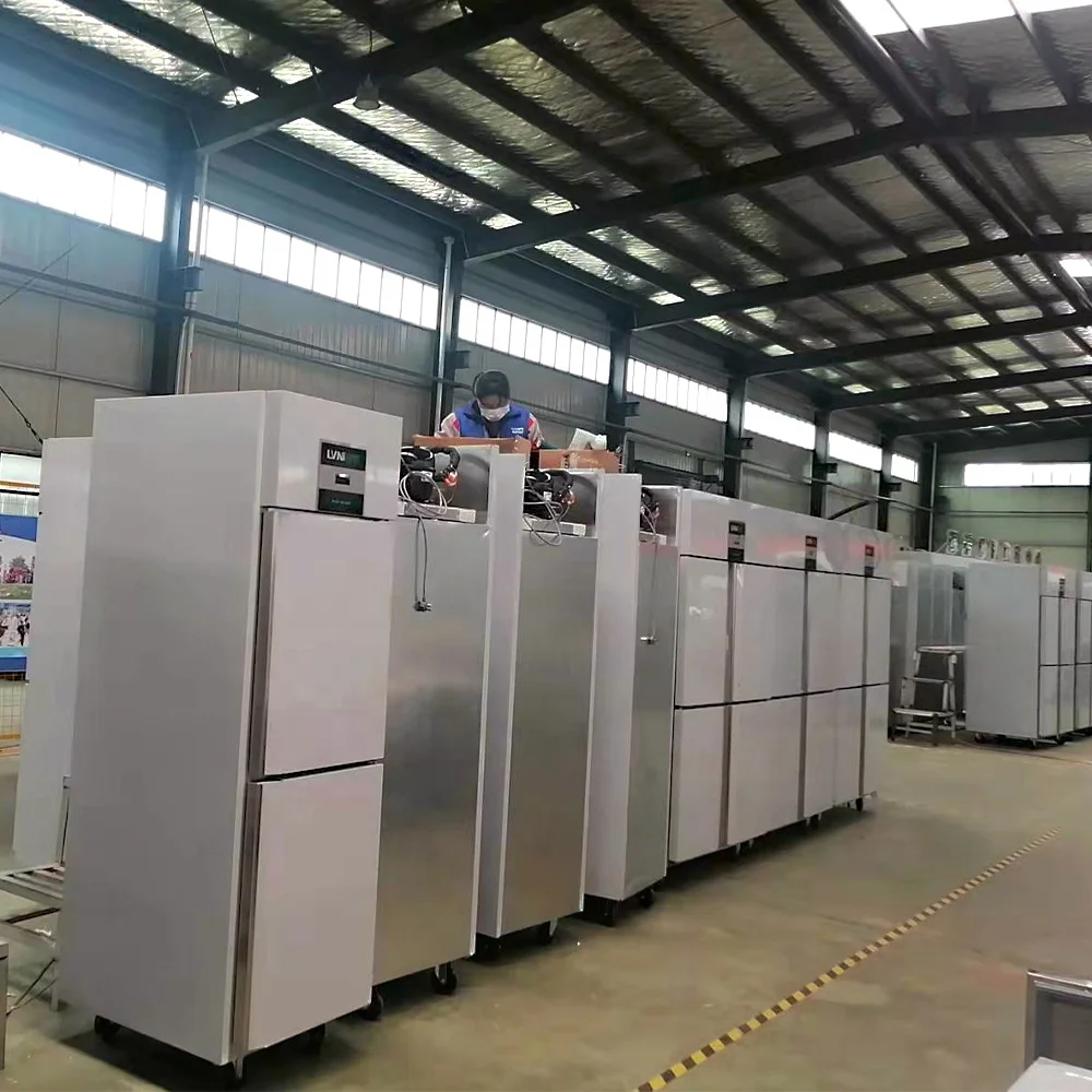 Commercial Kitchen 2 Door Vertical Stainless Steel Freezer Stand Up Freezer Upright Top Freezer For Kitchen