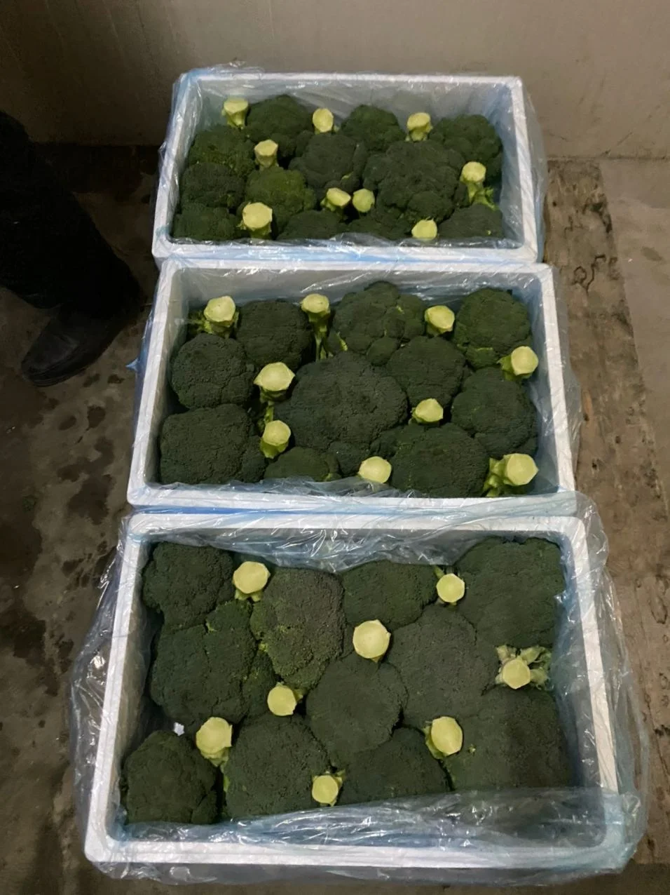 CNC Process EPS Foam Box Polystyrene Styrofoam Mold Made in China