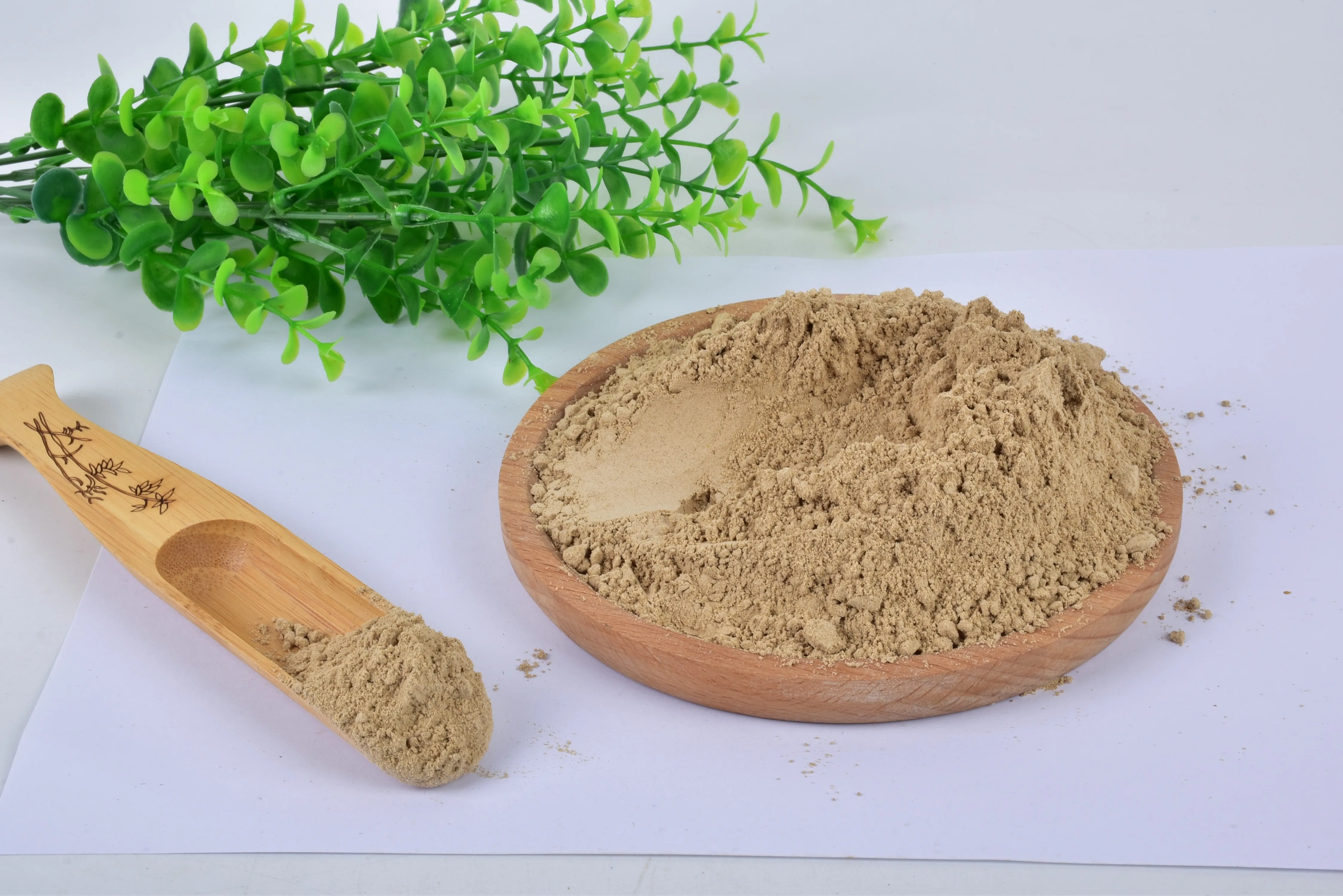 [SINO CROWN]Wholesale Dried Mealworm Insect Powder Aquarium Additives Fish Meal and Meal Additives Insect Powder Insect Flour
