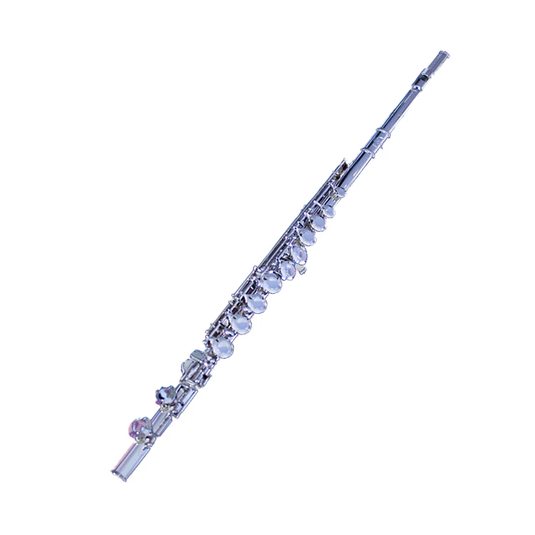 China Professional Manufacture Silver Plated Customized Instrument Flute Music