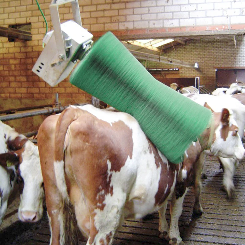 Animal Husbandry Equipment Cow Brush Scratching Machine For Cow Cattle