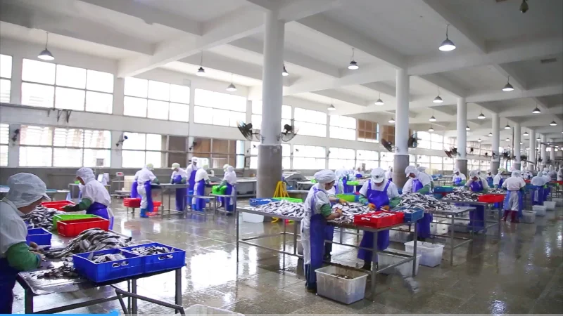 160g Shredded Canned Skipjack Tuna in Brine