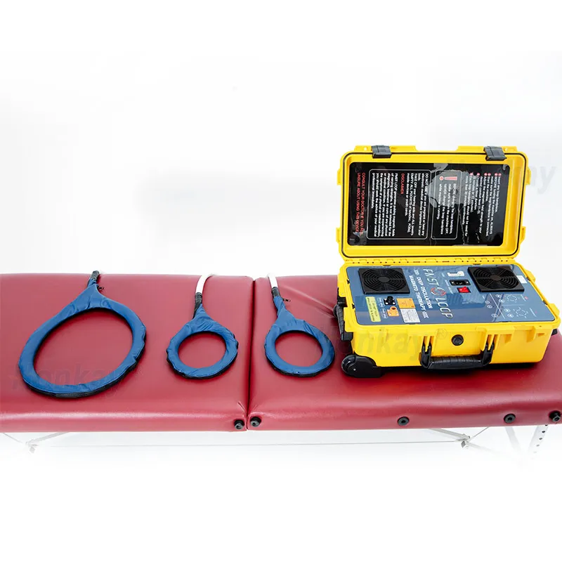 Non-invasive Treatment Magneto Machine PMST LOOP For Human Rehabilitation Manufacturer With Friendly Price