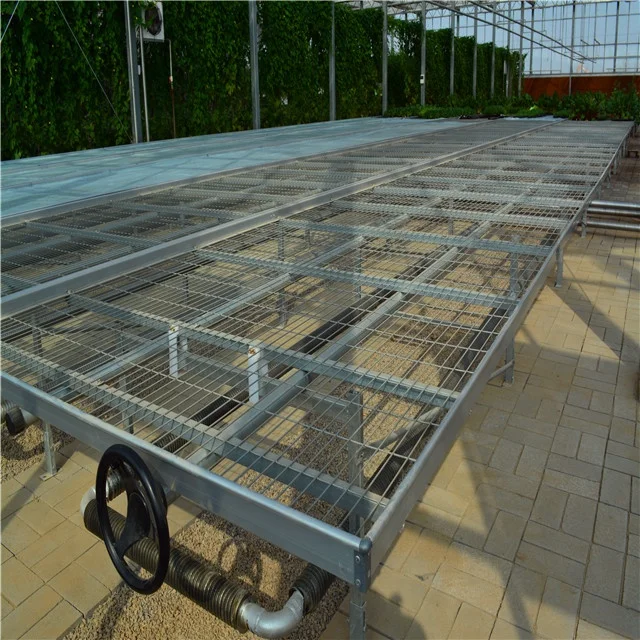 Greenhouse planting flood nursery bed