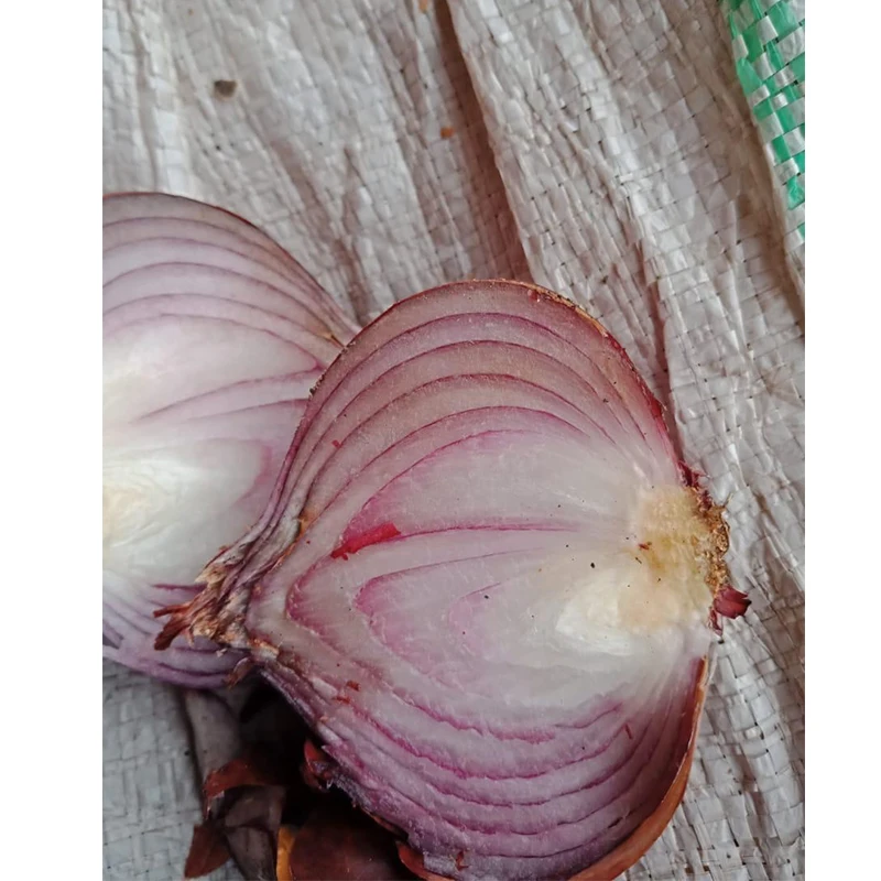 Египетский свежий овощ, свежий лук, оптовый продавец овощей на экспорт