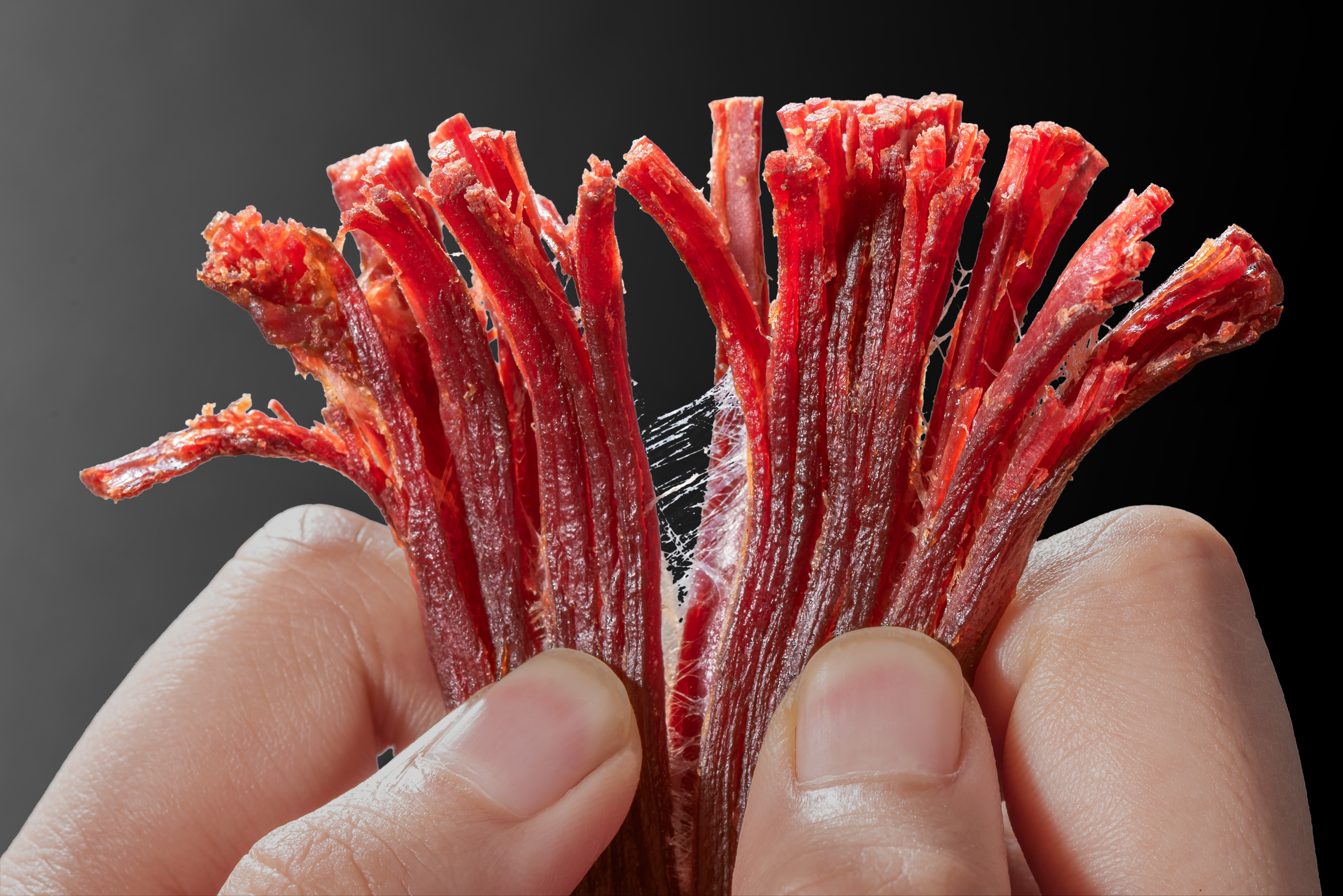 hot sale snacks beef food Shredded Beef with dried