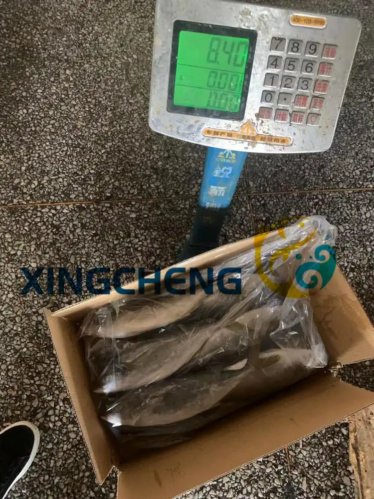 
Seafrozen Yellowtail Fish WR(Seriola quinqueradiata) Size:500-1000g/pc Hot Sale 