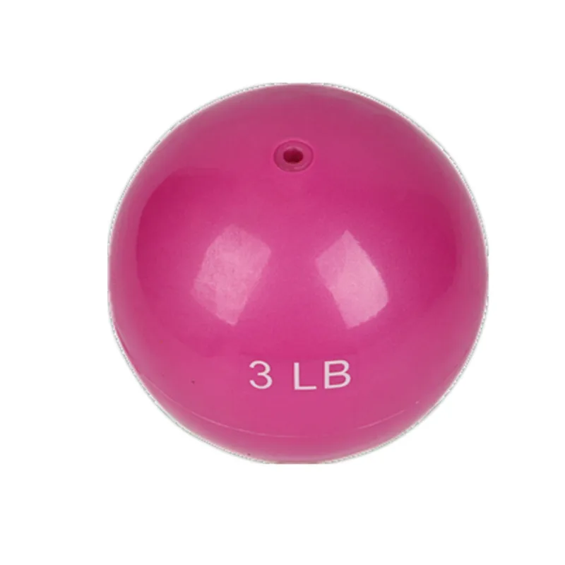 Sand or Water Filled Hand Weighted Ball 1lb  2lb  4lb 6lb 8lb