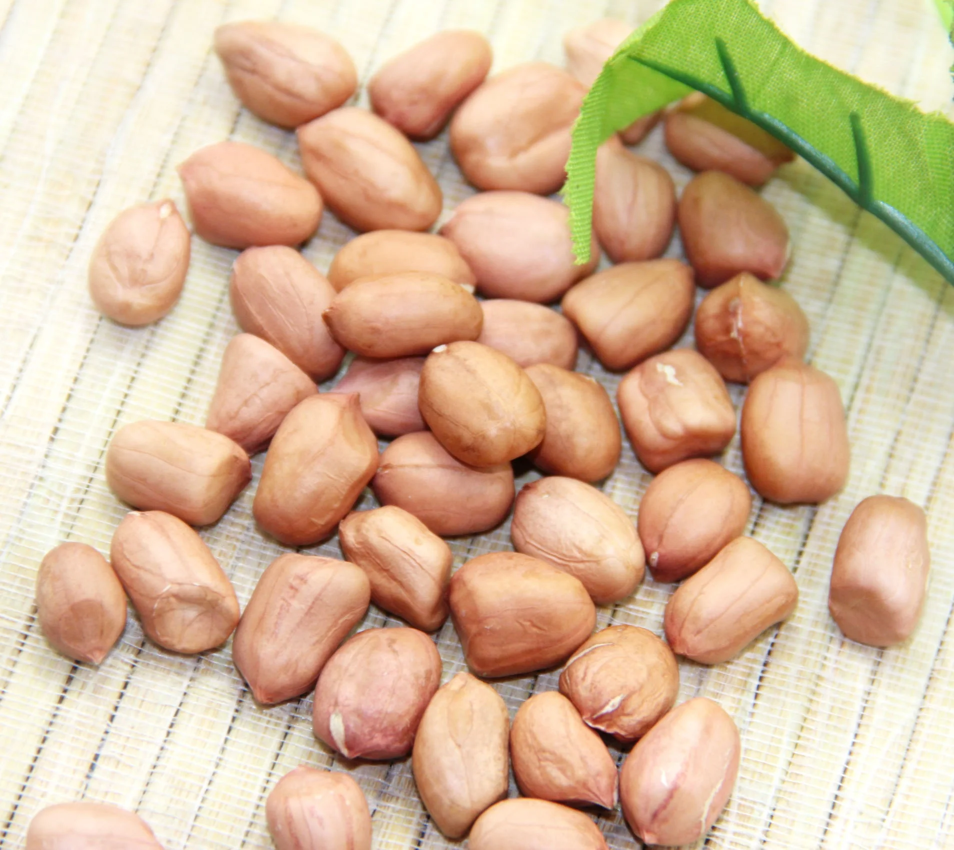 
good quality canned braised peanut 