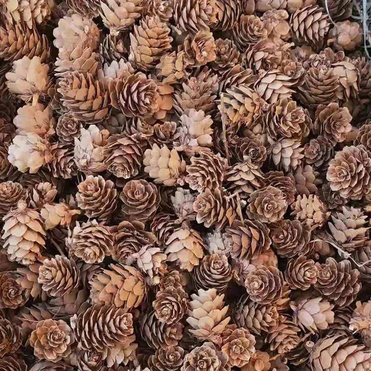 Dried Flowers Christmas Garland Home Decor Tree Decoration Pine Cones