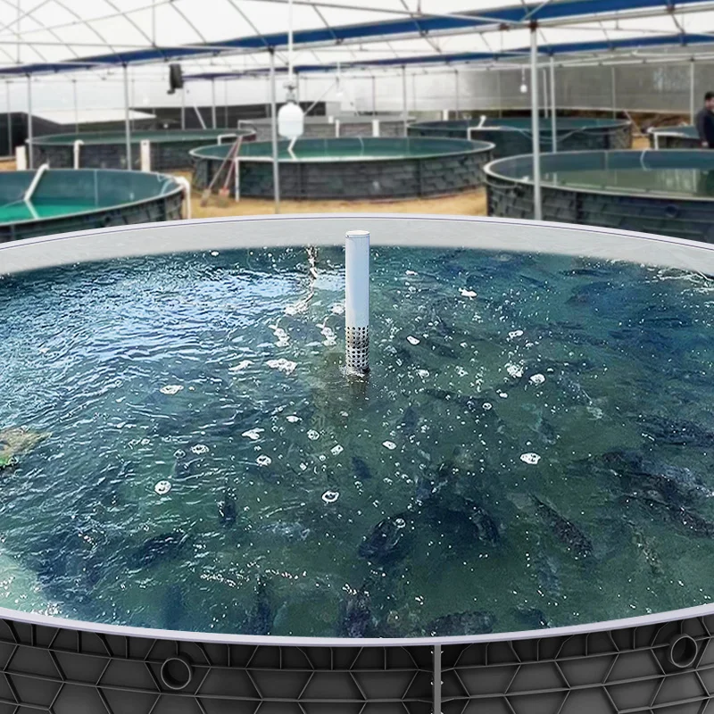 Smart & Easy RAS High Density Breeding  Fish Equipment Automatic Recirculating Aquaculture System  for Farming Fish