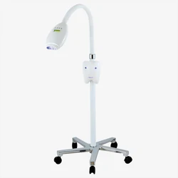 AliGan other dental equipments Movable Economical Dental Cold LED Teeth Whitening Unit smile type