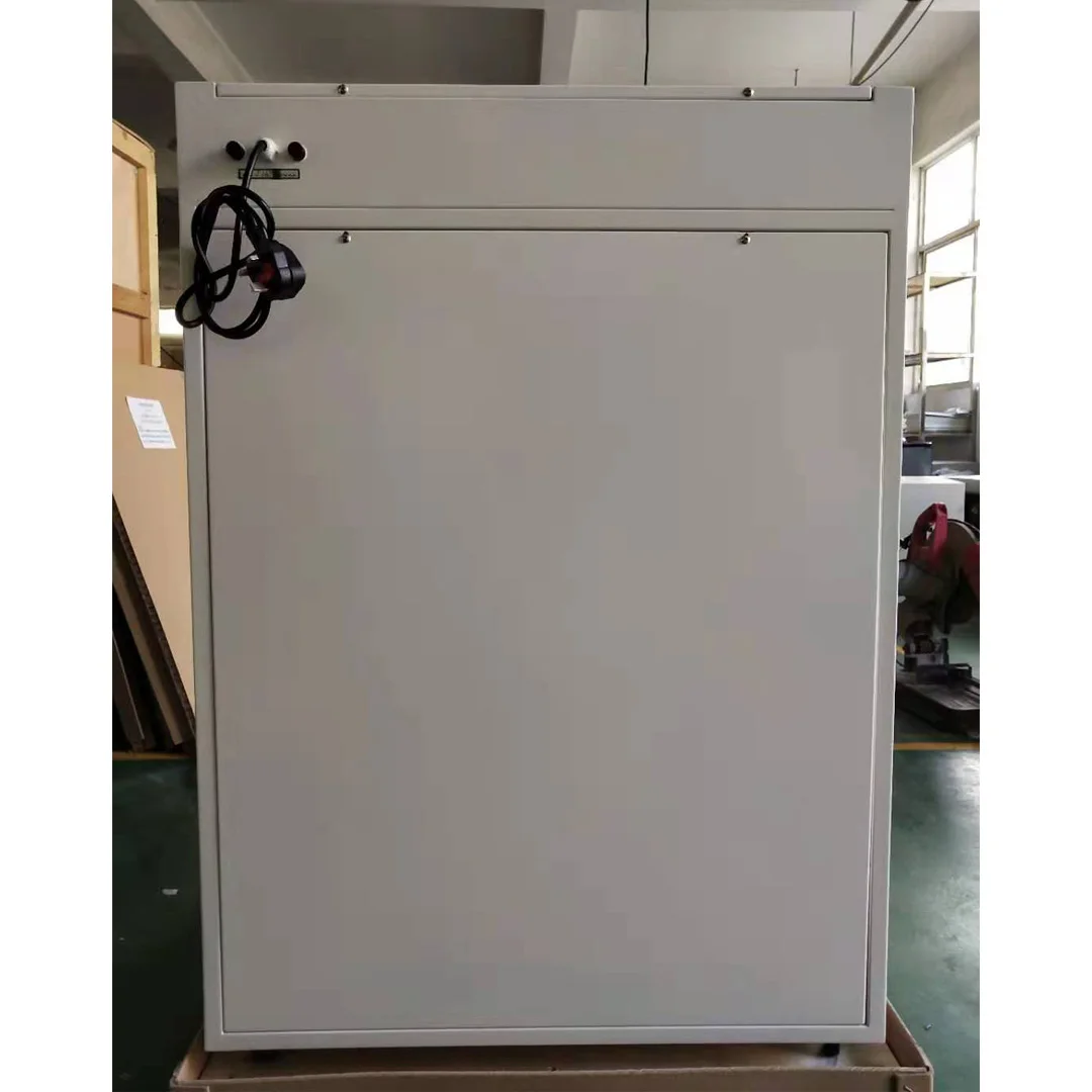 Laboratory Constant Temperature Direct Heat Incubator