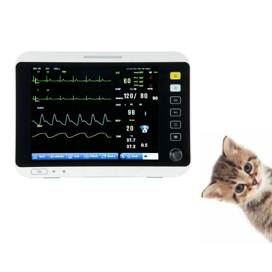 Patient monitoring animal health blood pressure monitor pets multiparameter veterinary monitor