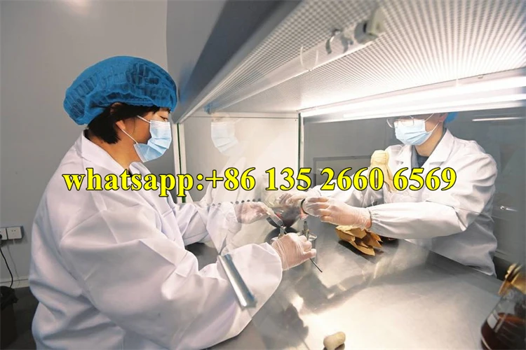 Single person clean workbench biobase lab laminar flow hood air clean bench laminar air flow bench