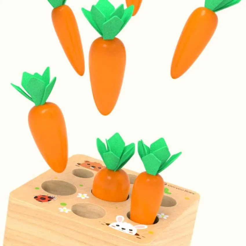 wood toys for kids montessori Toys Educational Carrot Harvest Toy for Toddlers, Shape Sorting Matching Puzzle, Developmental Lea