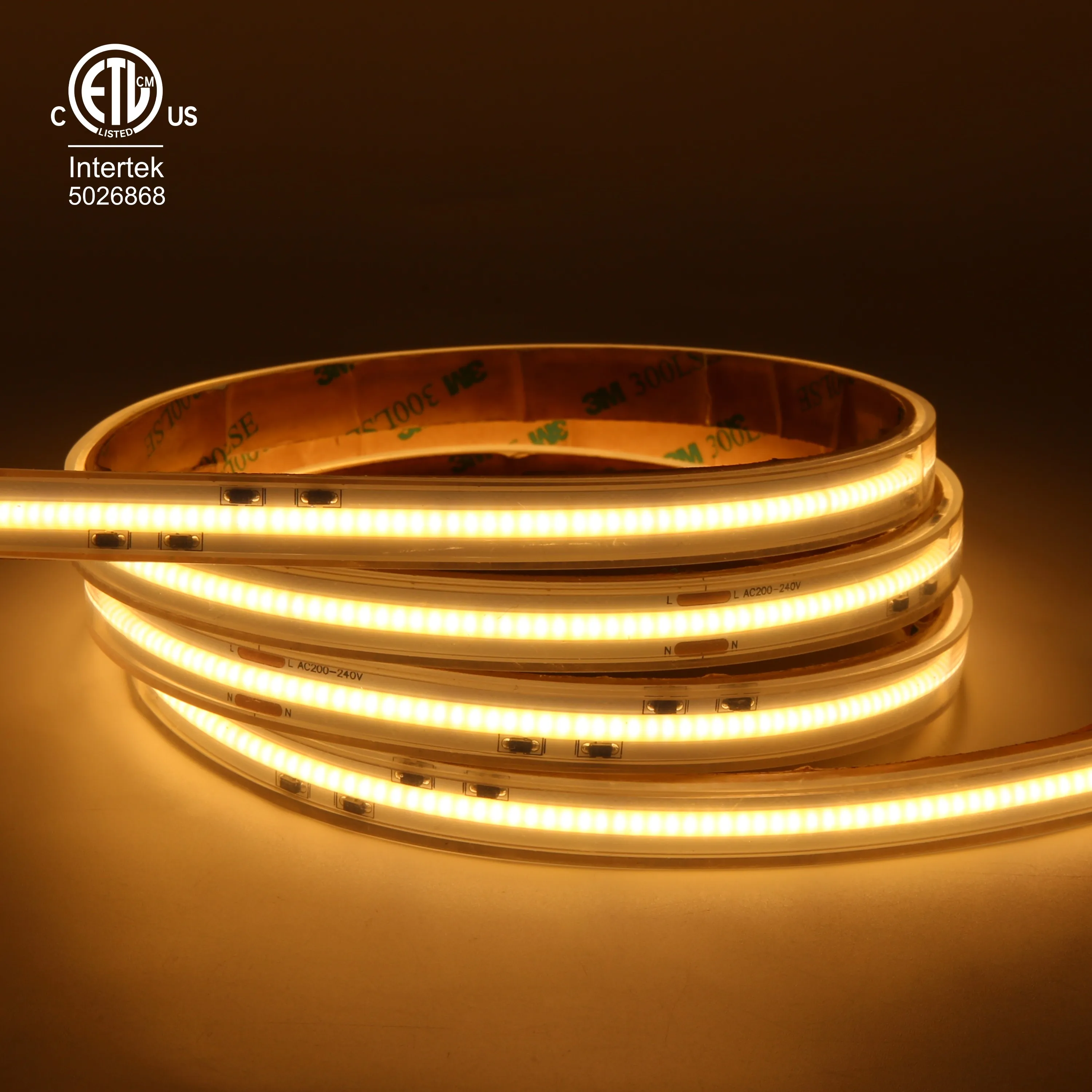 Raymates 110V 2700K 420leds cob strip light for indoor and outdoor American standard plug high voltage flexible cob strip light