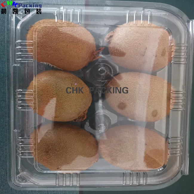 CHK packing customized PET clear anti fog kiwi package box clamshell for packaging fruit container