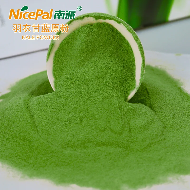 Natural super food BRC KOSHER certificate green kale powder for chips flakes spice blends smoothies baking nutrition products