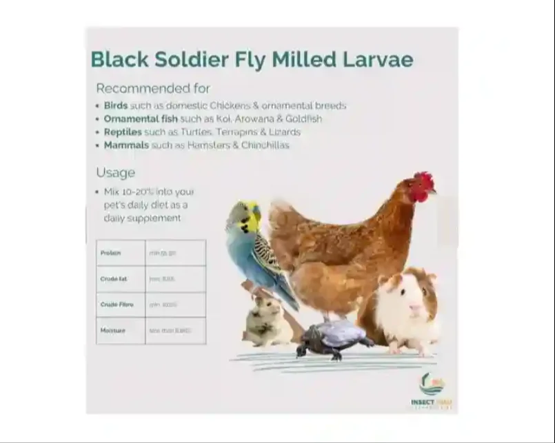 Highly Recommended 100% Natural Processed Milled Larvae Black Soldier Fly Insect Meal for Ornamental Fish  Koii Arowana