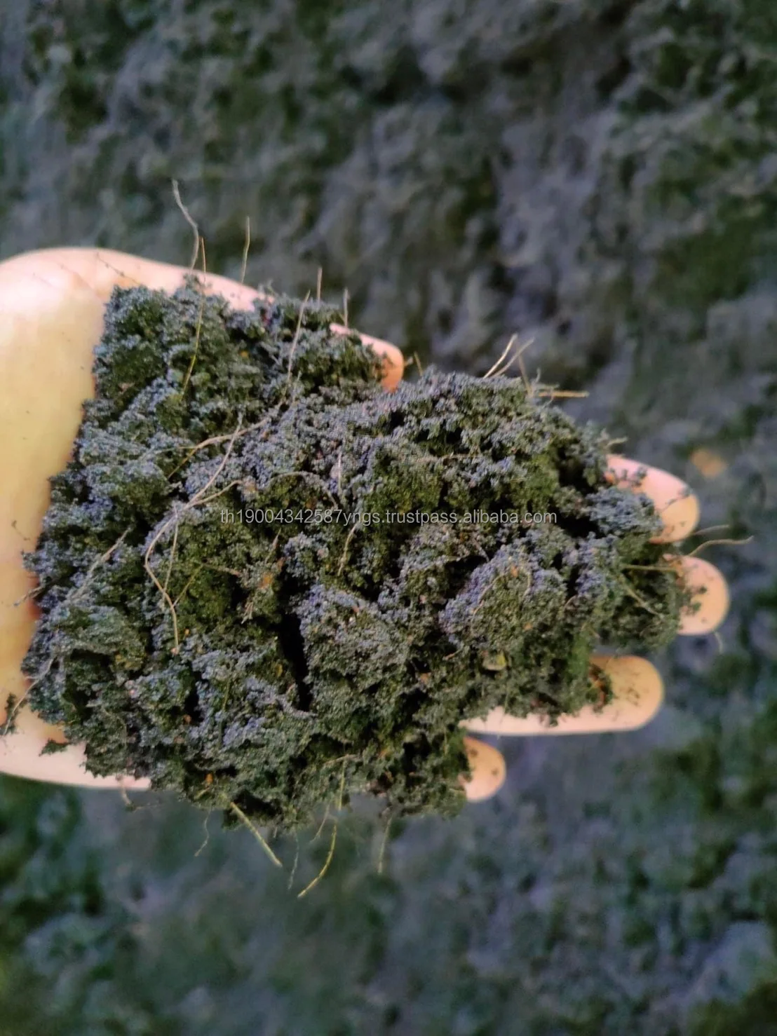 fertilizer potting soil garden Organic fertilizer