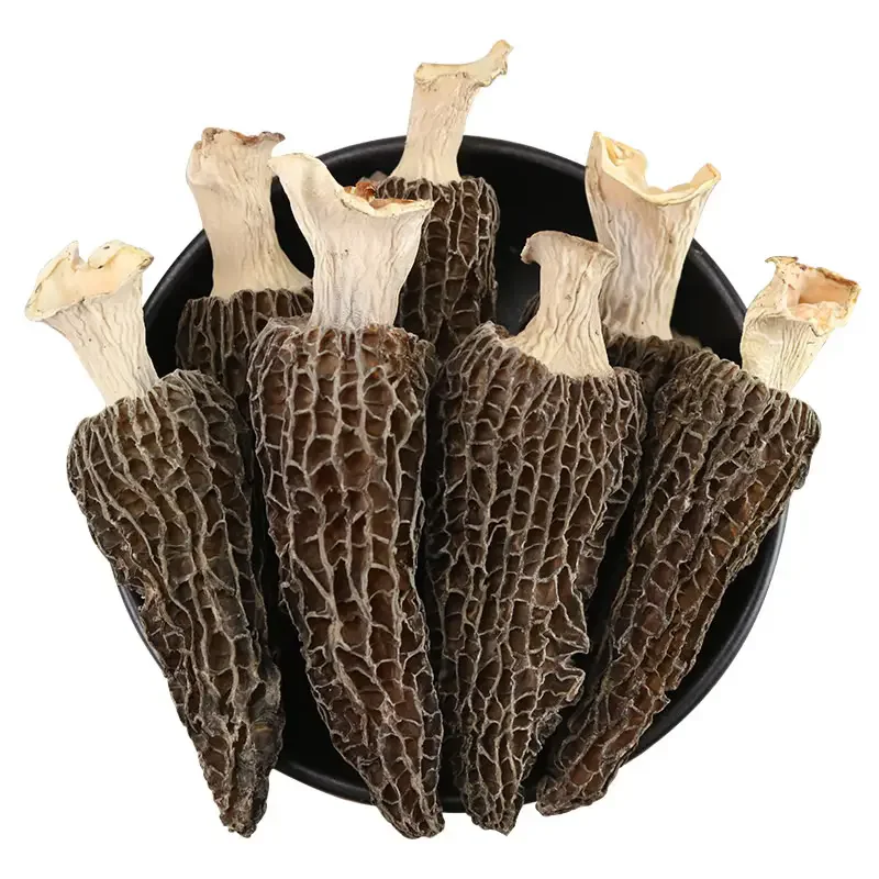 Huaran Yulin Guangxi China fungus mushroom wholesale Black Wild Morel Mushroom Dry Toadstool For Food