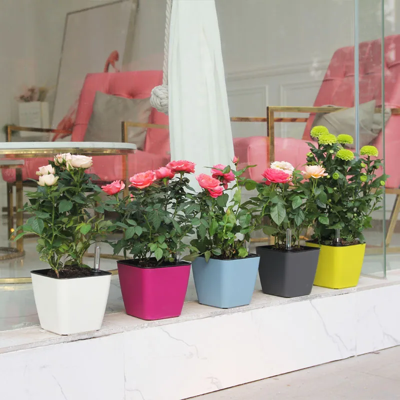 wholesale plastic bonsai pot