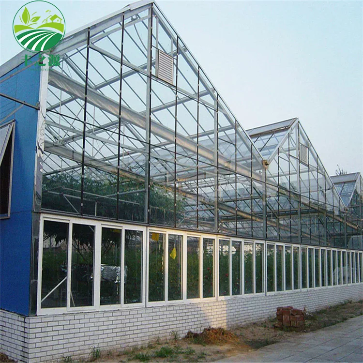 The Cheapest Hot Sale Agricultural Glass Greenhouse Green House For Vegetables